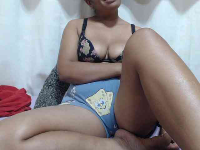Anishey webcam