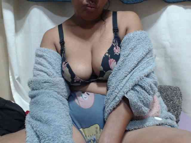 Anishey webcam