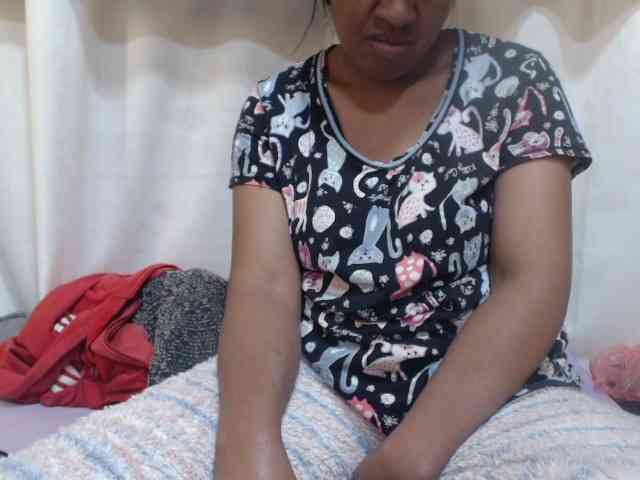 Anishey webcam