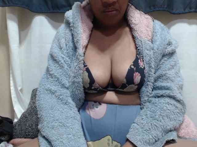 Anishey webcam