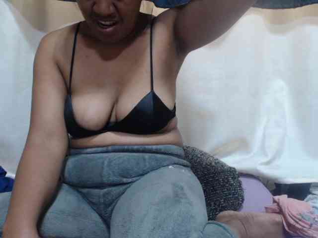 Anishey webcam