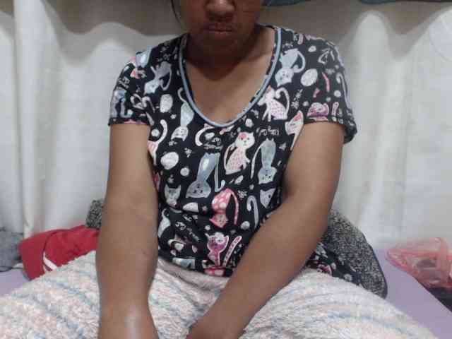 Anishey webcam
