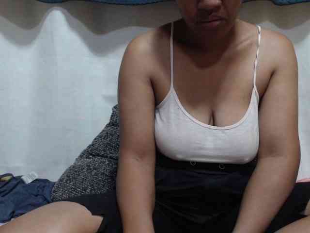 Anishey webcam