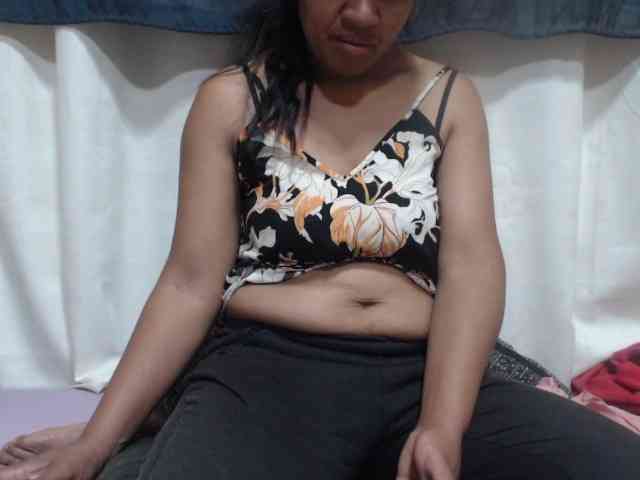 Anishey webcam