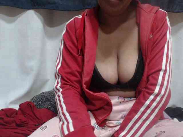 Anishey webcam