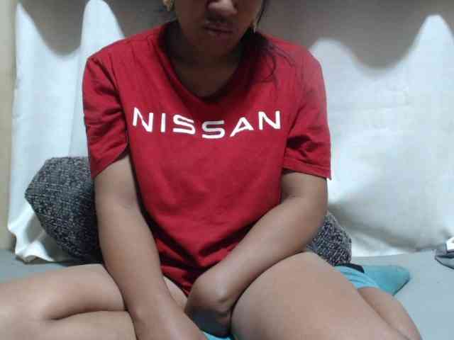 Anishey webcam