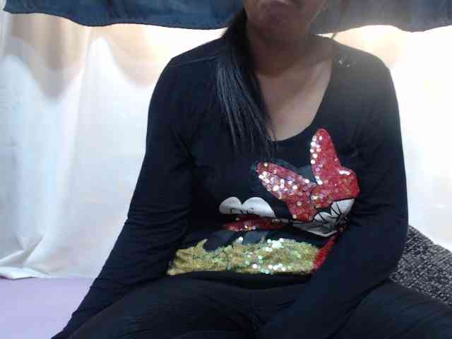 Anishey webcam