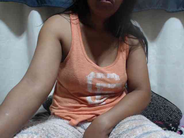 Anishey webcam