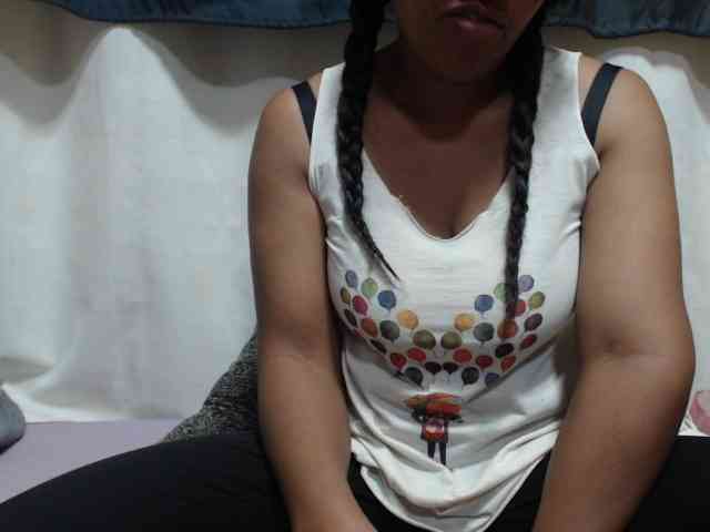 Anishey webcam