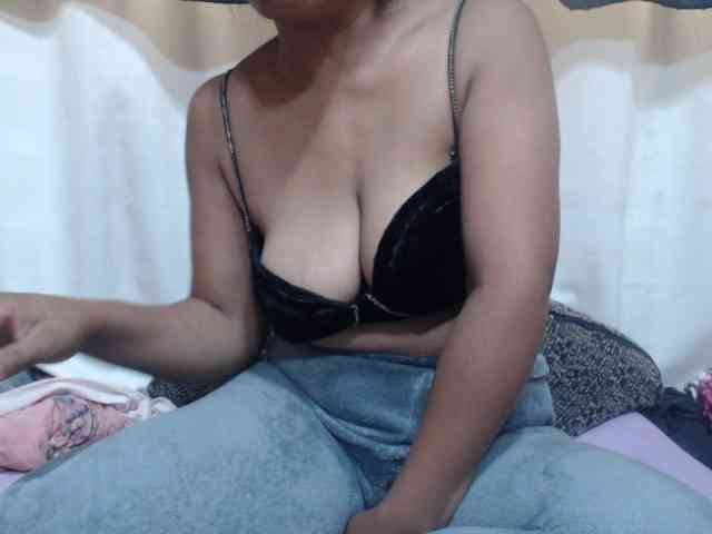 Anishey webcam