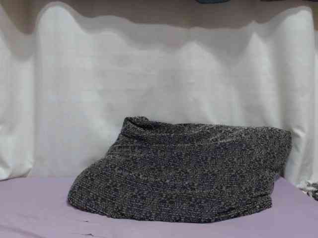 Anishey webcam