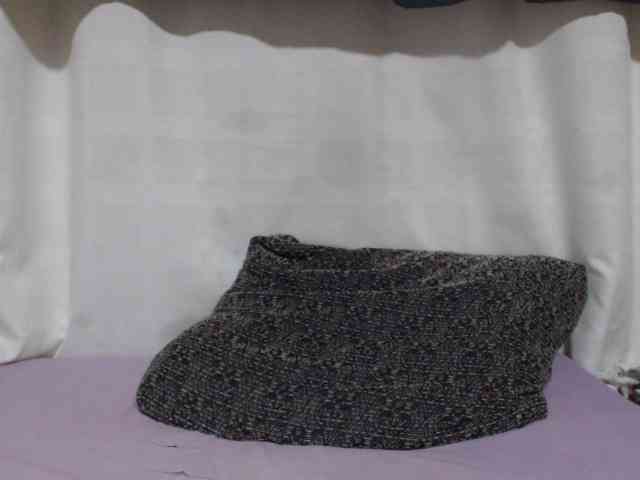 Anishey webcam