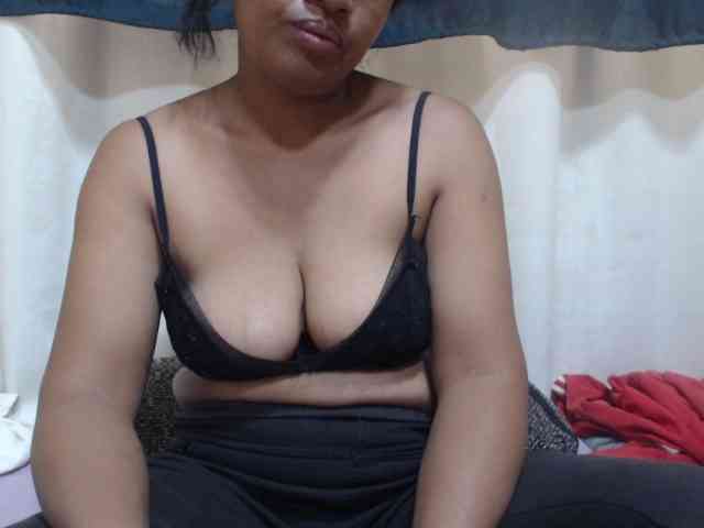 Anishey webcam