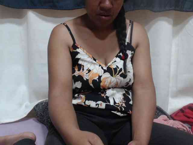 Anishey webcam