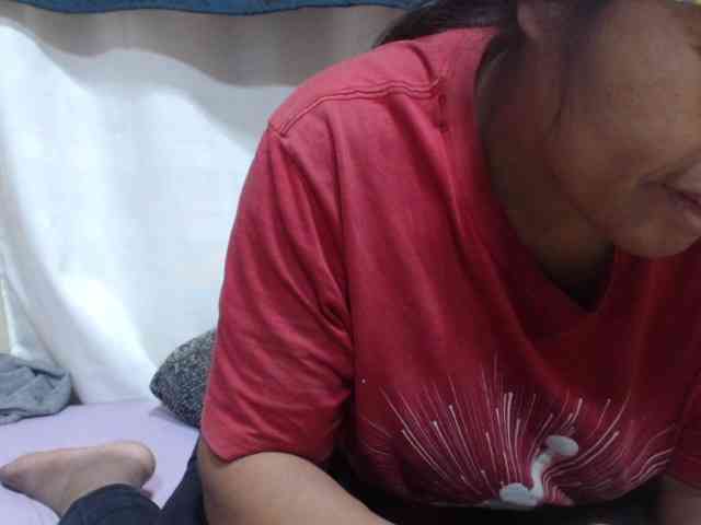 Anishey webcam