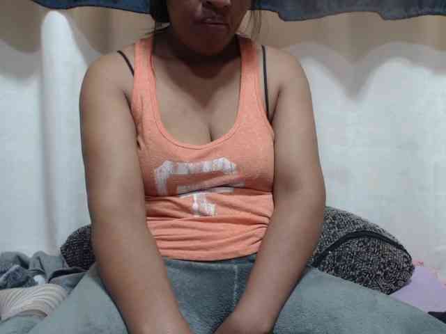 Anishey webcam