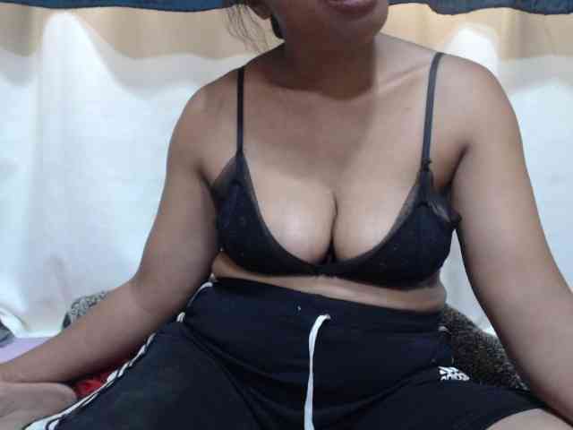 Anishey webcam
