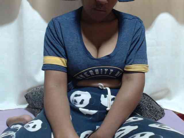 Anishey webcam