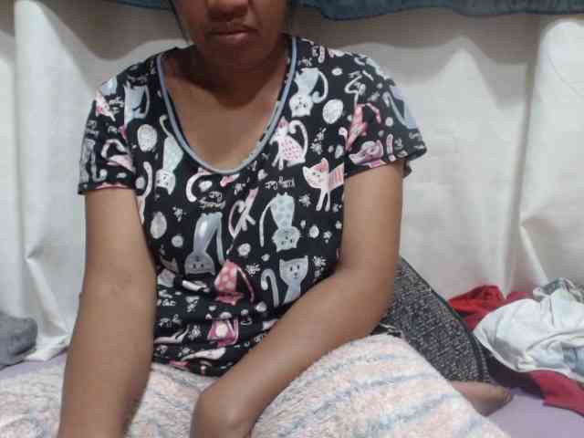 Anishey webcam