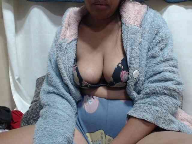 Anishey webcam