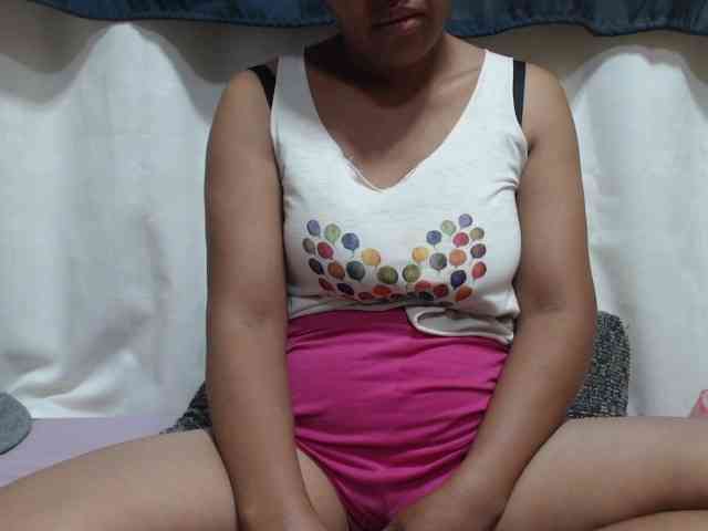 Anishey webcam