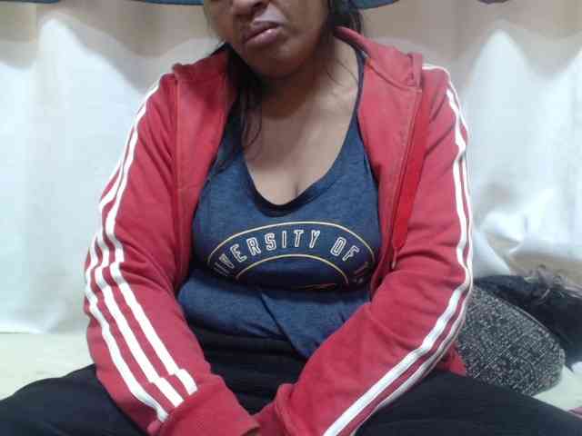 Anishey webcam