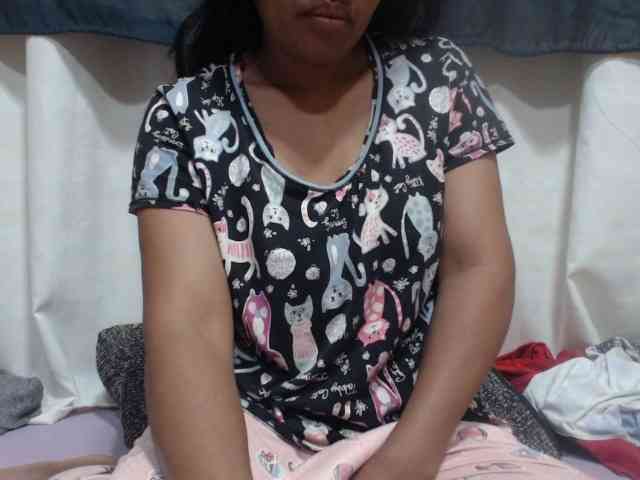 Anishey webcam