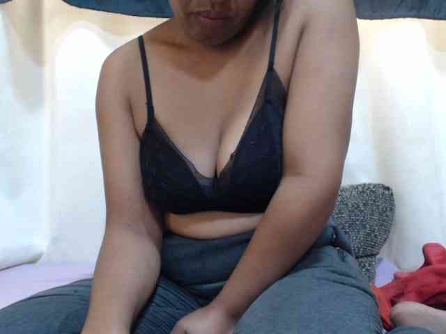 Anishey webcam