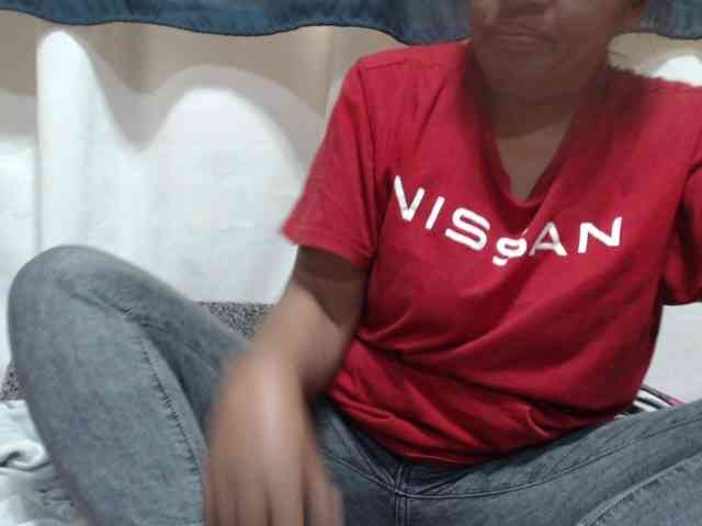 Anishey webcam