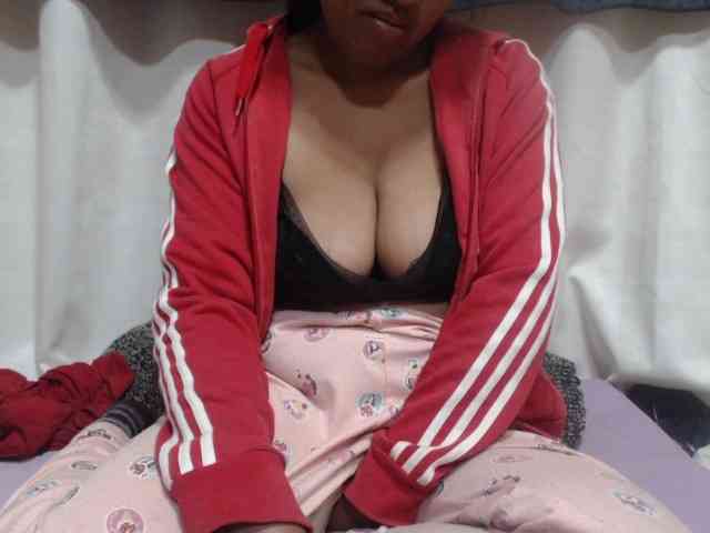 Anishey webcam