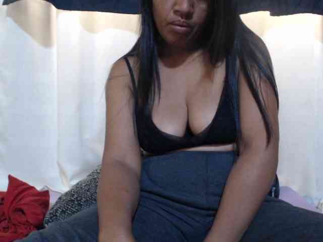 Anishey webcam