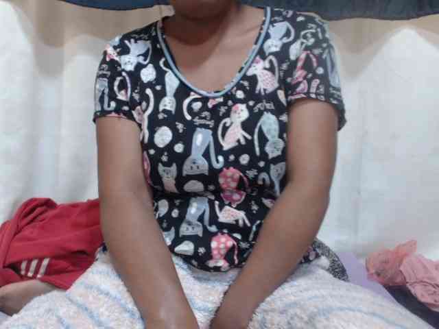Anishey webcam