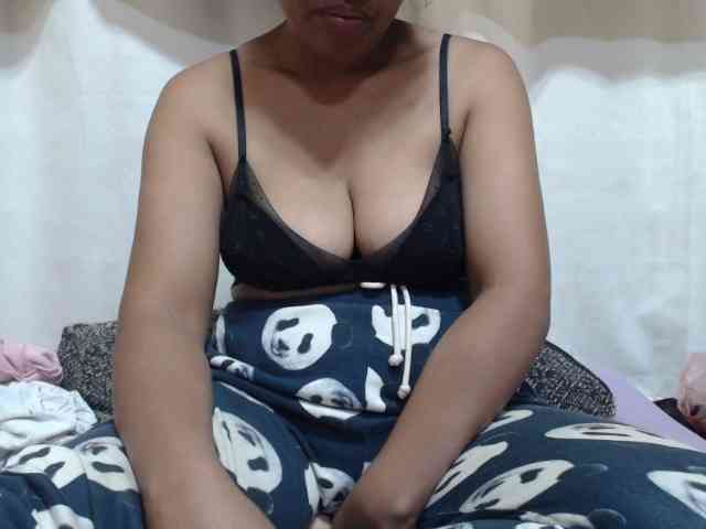 Anishey webcam