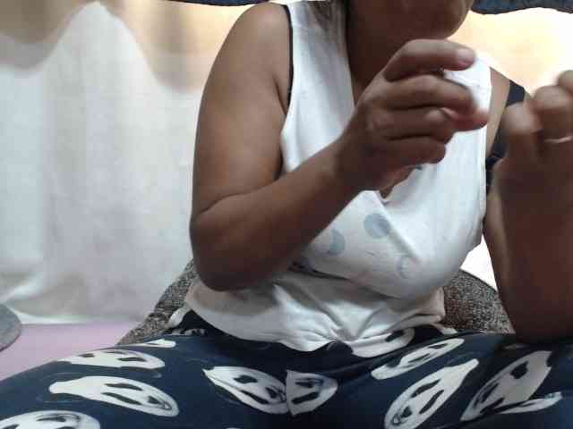 Anishey webcam