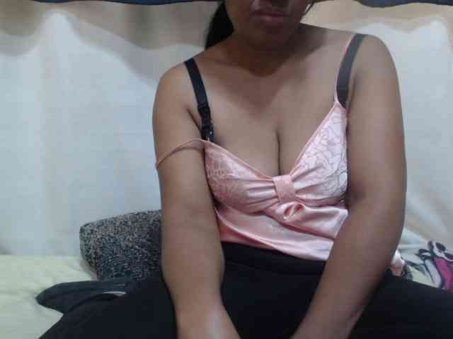 Anishey webcam