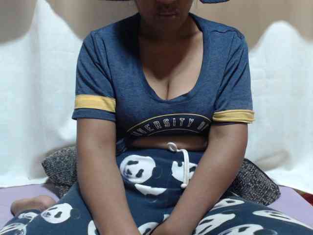 Anishey webcam