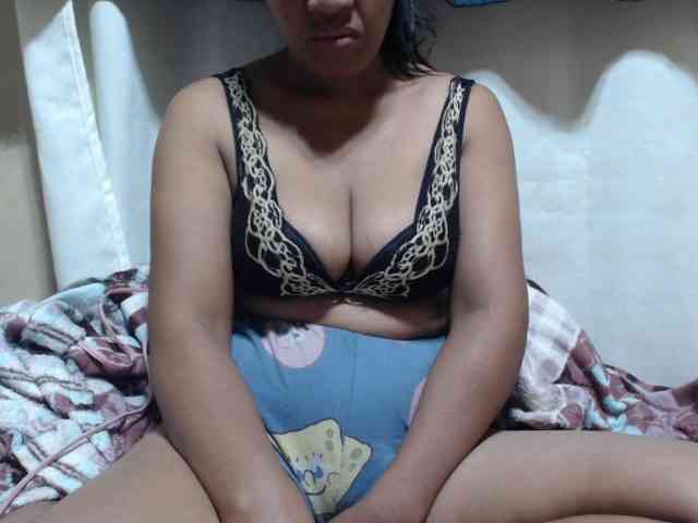 Anishey webcam