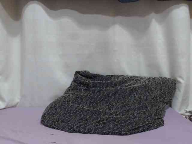 Anishey webcam