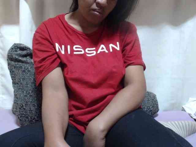 Anishey webcam