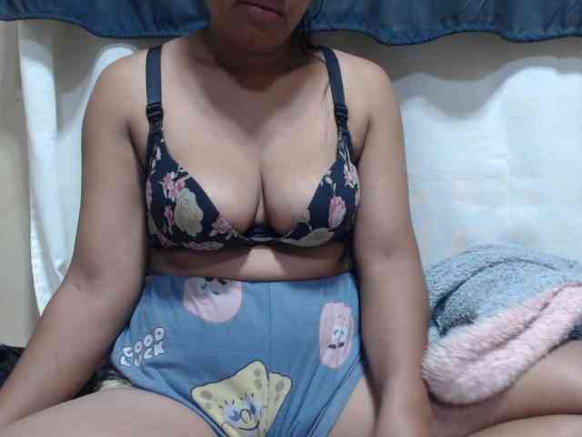 Anishey webcam