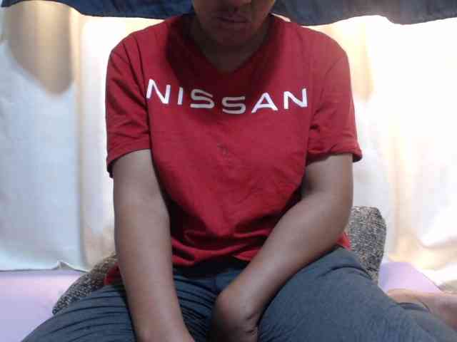 Anishey webcam