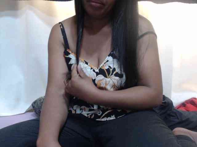 Anishey webcam