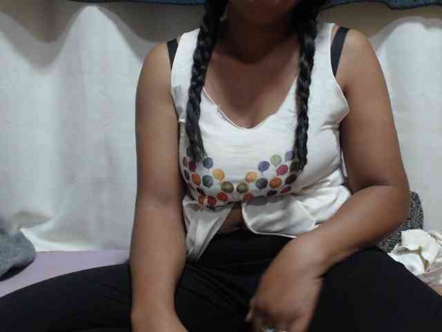 Anishey webcam