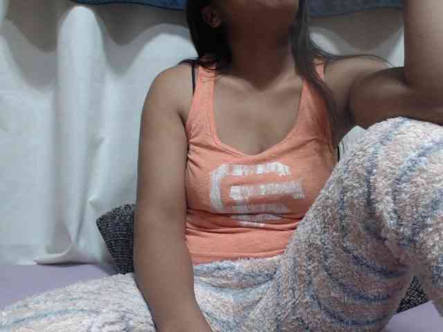 Anishey webcam