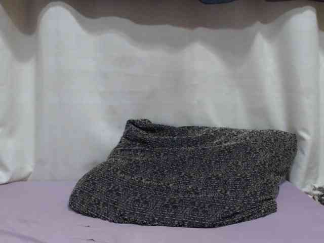 Anishey webcam