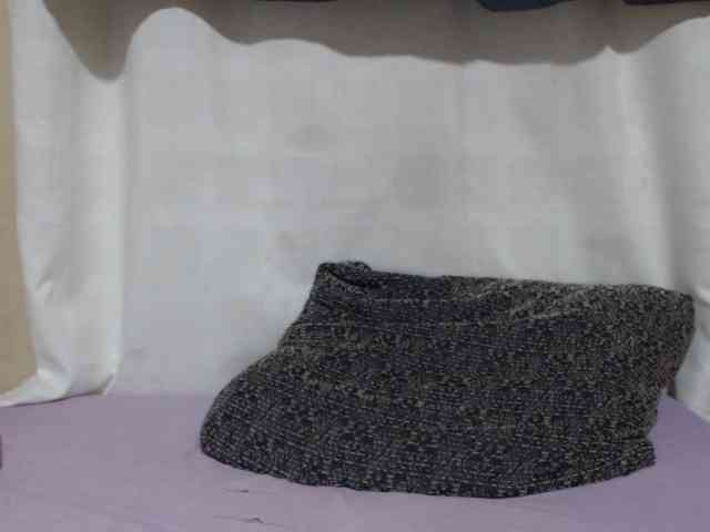 Anishey webcam