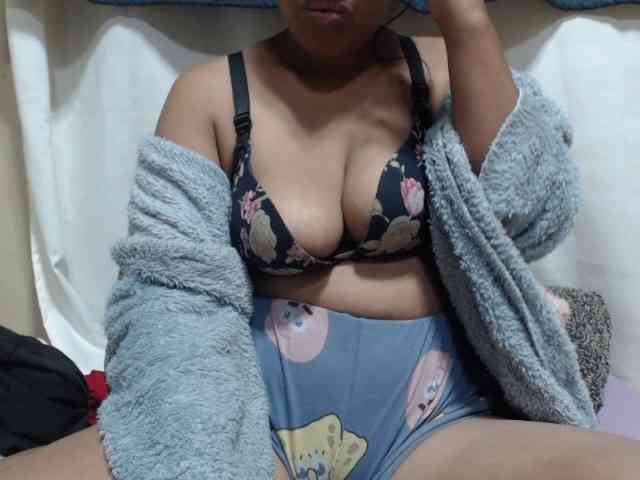 Anishey webcam