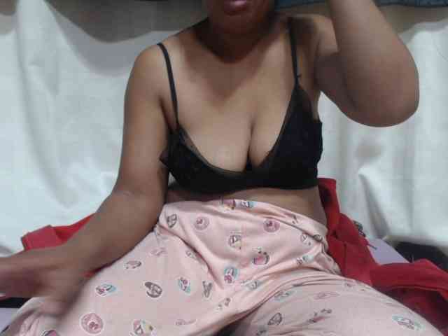 Anishey webcam