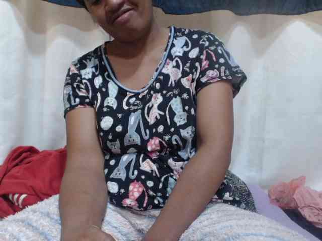 Anishey webcam