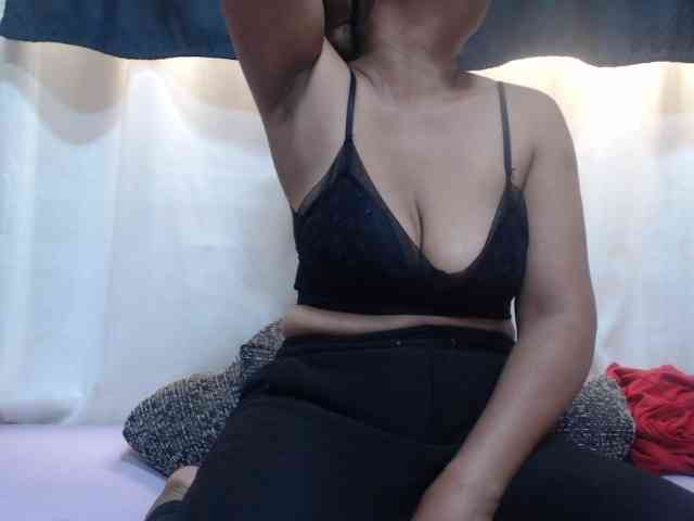 Anishey webcam